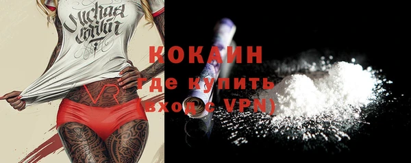амф Ельня