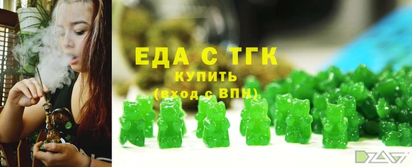 амф Ельня