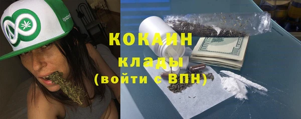 ешки Дмитриев