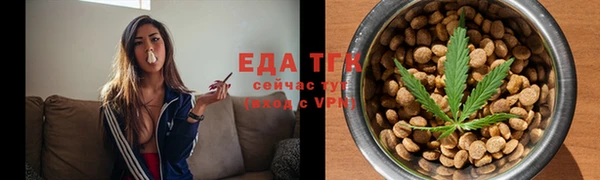 амф Ельня