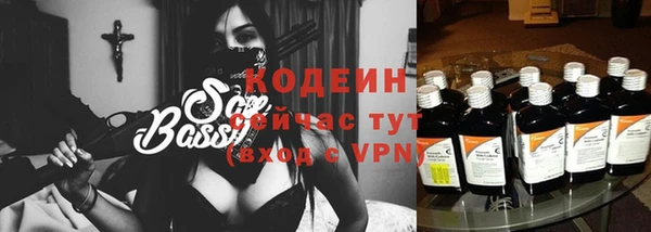 мдпв Елизово
