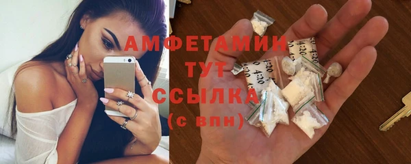 амф Ельня