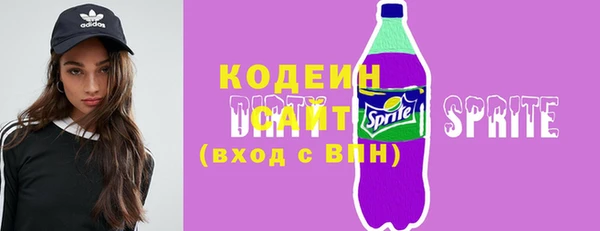мдпв Елизово