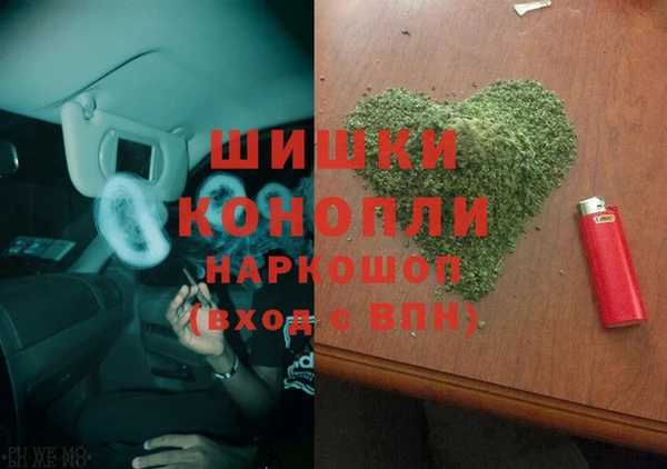 амф Ельня
