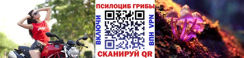 дарнет шоп  Болхов  ОМГ ОМГ как зайти  Псилоцибиновые грибы GOLDEN TEACHER 